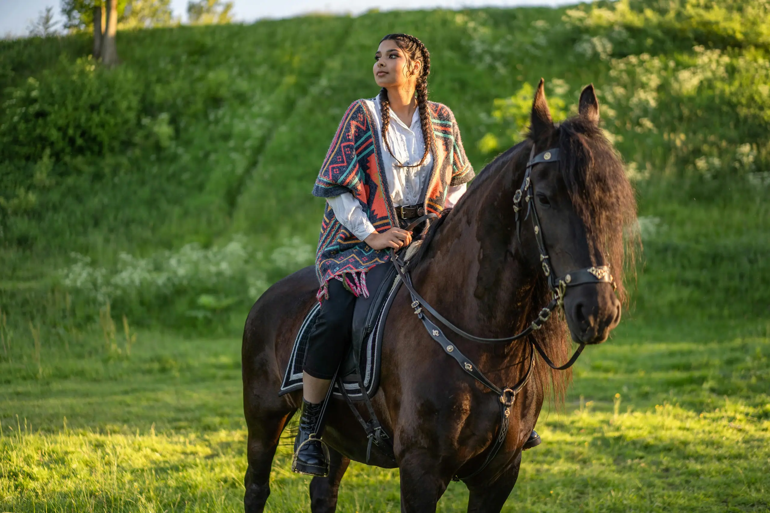 Rider on a dark horse in a meadow at golden hour