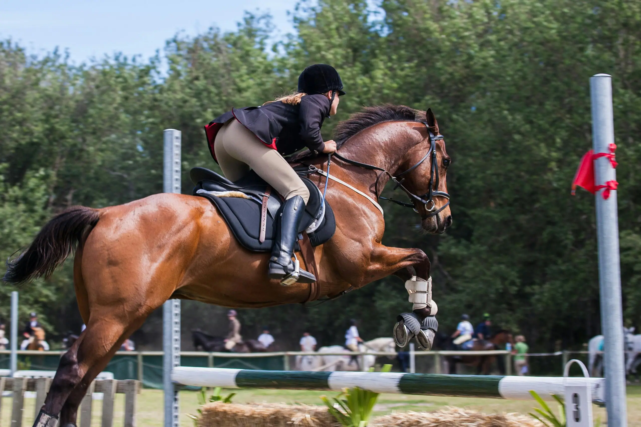 Rider and horse clearing a jump at a competition